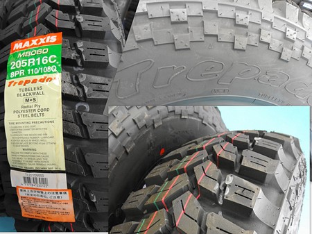 �g���b�h�E�T�C�h�@�S�c�S�c�摜